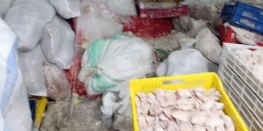 كارثة غذائية بالقليوبية.. ضبط 12 طن دواجن فاسدة تُعاد تدويرها وبيعها للمواطنين - الكويت الاخباري