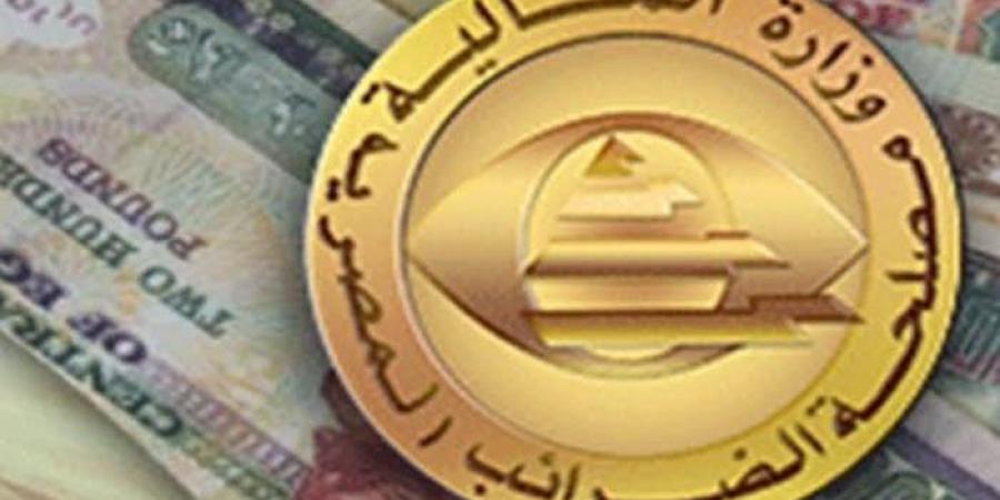 رشا عبد العال: تسهيلات قانون المشروعات الصغيرة شملت الإعفاء عن عدد كبير من الضرائب - الكويت الاخباري