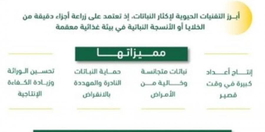 ”استدامة“: إنتاج 73 ألف شتلة بتقنية الزراعة النسيجية - الكويت الاخباري