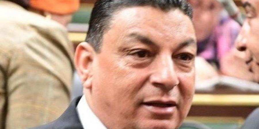 برلماني: اجتماع الرئيس السيسي مع الحكومة والبنك المركزي يعكس إدراك القيادة لتحديات الاقتصاد المصري - الكويت الاخباري
