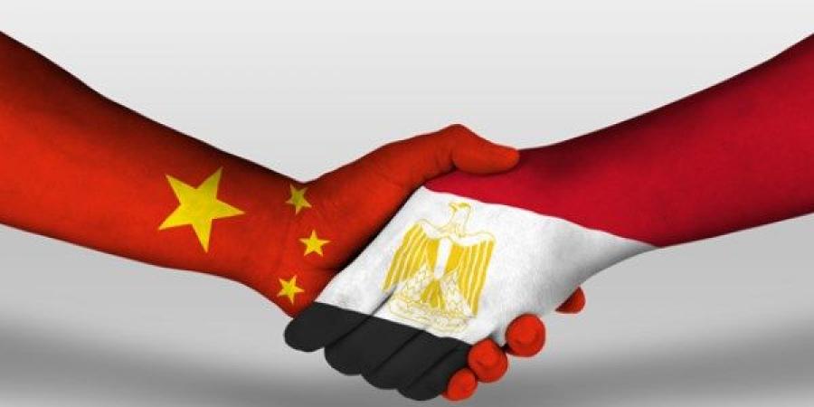 معلومات عن مشروع  إنشاء محطة تحيا مصر 2  بميناء الدخيلة - الكويت الاخباري
