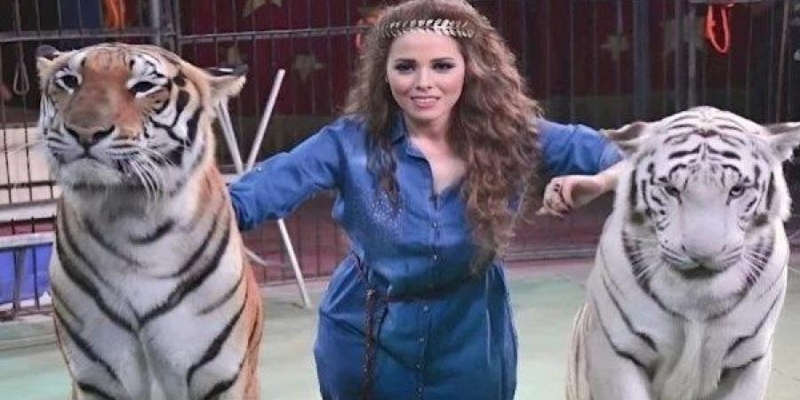 بعد إحالتها للمحاكمة.. القصة الكاملة لاتهام أنوسة كوتة في هجوم نمر على عامل السيرك - الكويت الاخباري
