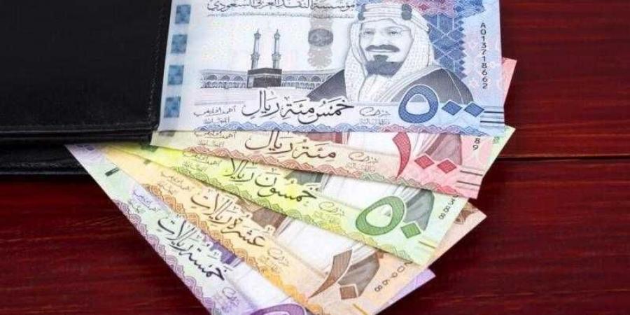أسعار الريال السعودى في مصر اليوم السبت - الكويت الاخباري