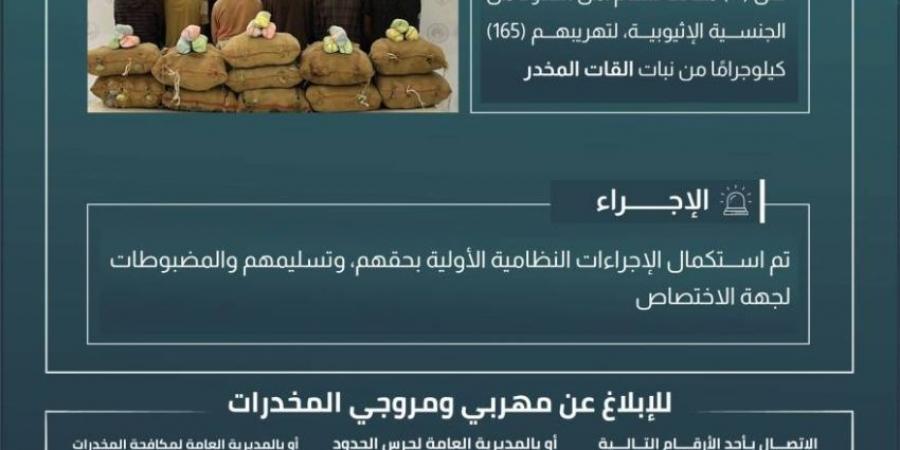 القبض على (11) مخالفًا لتهريبهم (165) كجم من القات بـالربوعة - الكويت الاخباري