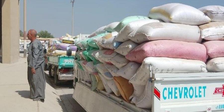 منذ بداية الموسم.. تسليم 66 ألف طن قمح لمراكز التوريد والتخزين بالجيزة - الكويت الاخباري