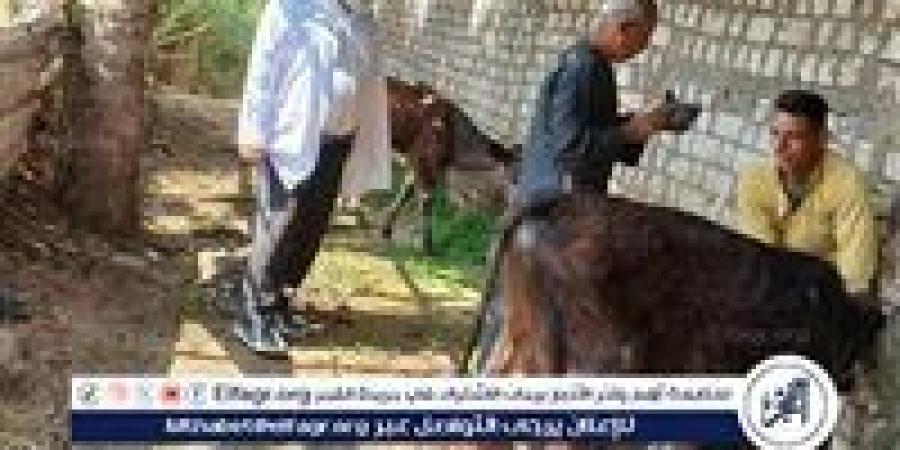 الطب البيطري بالفيوم في تقرير شامل عن أنشطته خلال أبريل - الكويت الاخباري