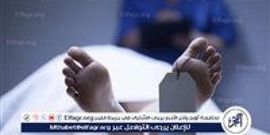 تناول مبيد حشري بالخطأ.. تفاصيل مصرع عامل في سمالوط بالمنيا - الكويت الاخباري