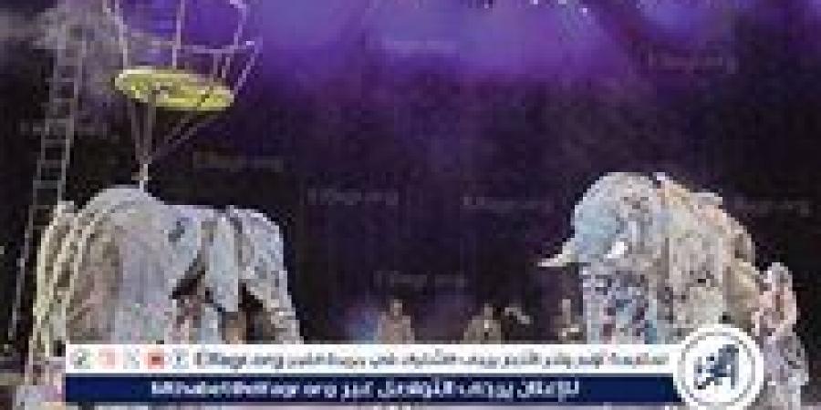 "سيرك 1903" يعيد أجواء السيرك الكلاسيكي إلى موسم جدة - الكويت الاخباري