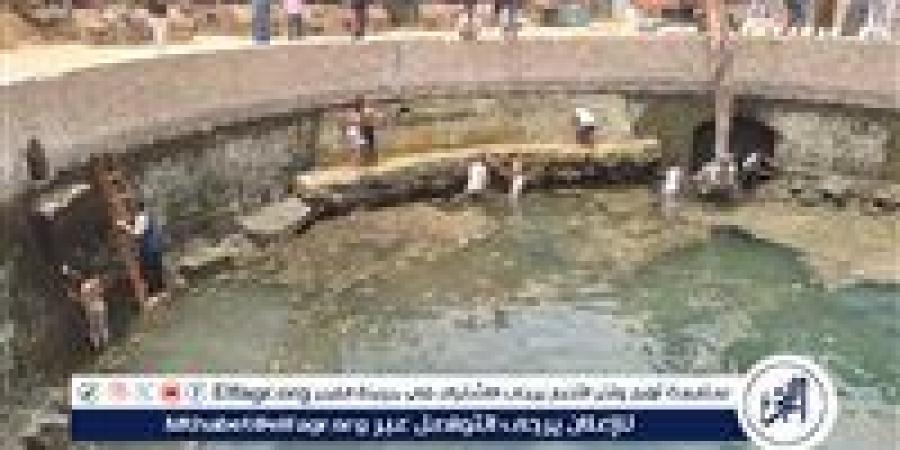 حملة نظافة عين كليوباترا بمشاركة عدد من العاملين في مجال السياحة بسيوة - الكويت الاخباري