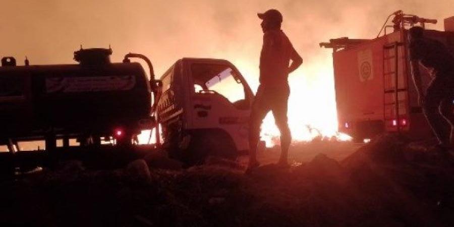 كشف وصرف أدوية لـ2500 مريض بقافلة طبية بشنبارة الميمونة بالشرقية - الكويت الاخباري
