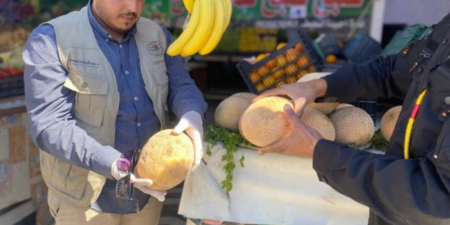 البيضاء | مركز الرقابة يسحب عينات من البطيخ ويخضعها للفحص المخبري - الكويت الاخباري