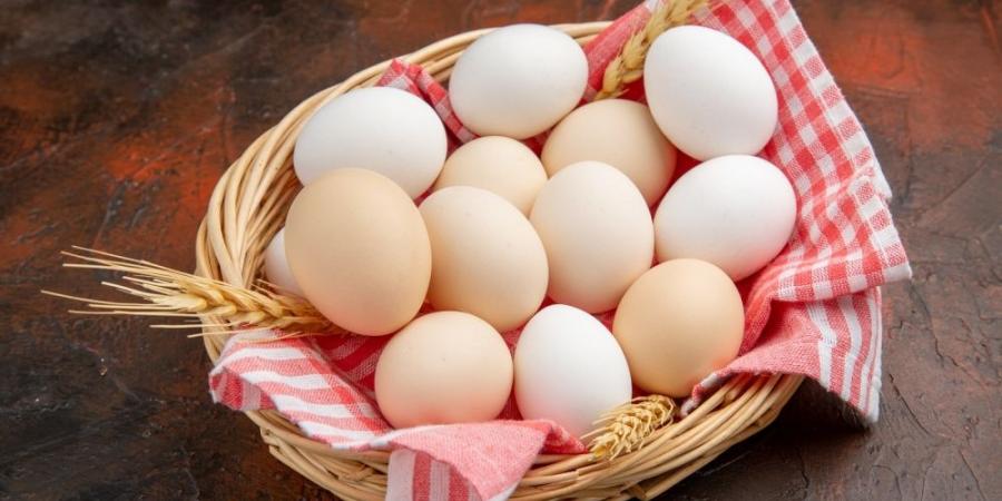 ذبح نظامي وتبريد وتغليف.. تفاصيل ضوابط ”البيئة“ لمحلات الدواجن والبيض - الكويت الاخباري