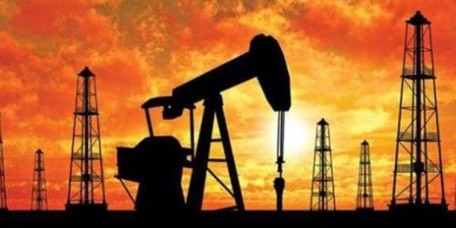 بوابة مصر للاستكشاف تنظّم ورشة عمل لتعزيز جذب الاستثمارات - الكويت الاخباري