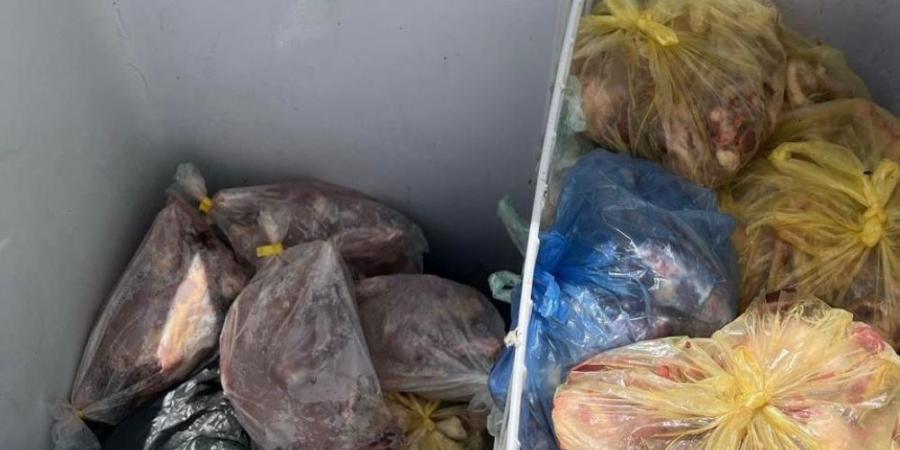 إغلاق منزل مخالف يُمارس الذبح العشوائي للدواجن في جدة - الكويت الاخباري