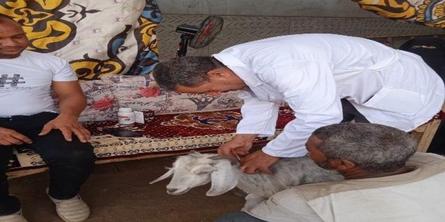 مستقبل وطن ينظم قافلة بيطرية بمركز الوقف لخدمة المزارعين والمربين - الكويت الاخباري