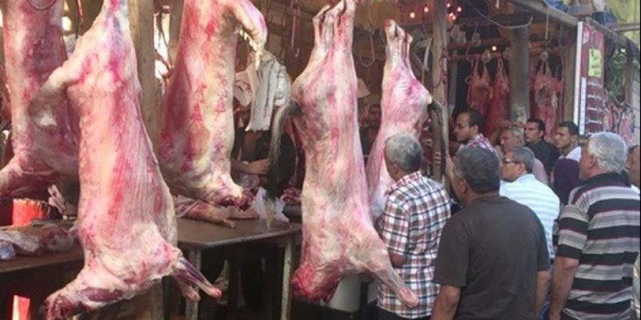 هل يجوز توزيع لحم على الفقراء بدلًا من نحر أضحية؟.. دار الإفتاء تحسم الجدل - الكويت الاخباري