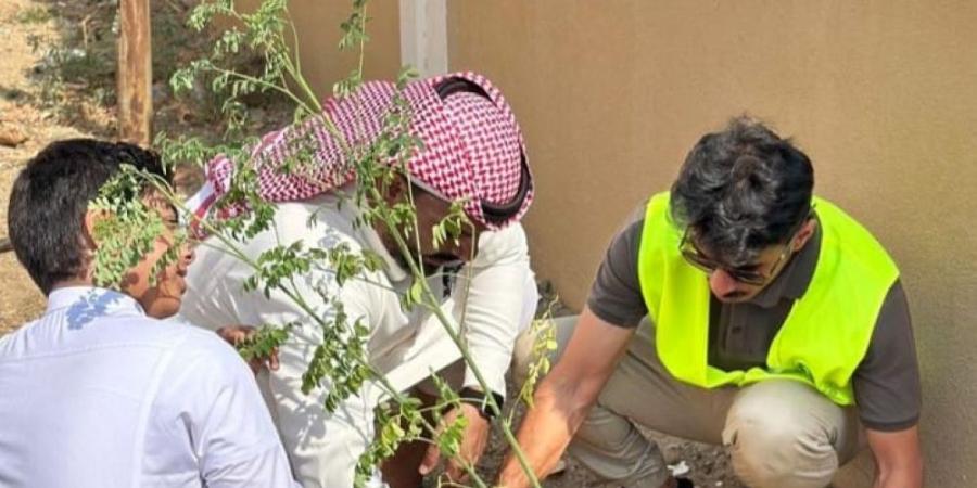بالتفاصيل.. جامعة جدة توقع اتفاقية لتعزيز الاستدامة البيئية - الكويت الاخباري