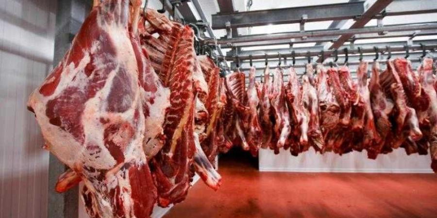 أسعار اللحوم الحمراء اليوم الأحد - الكويت الاخباري