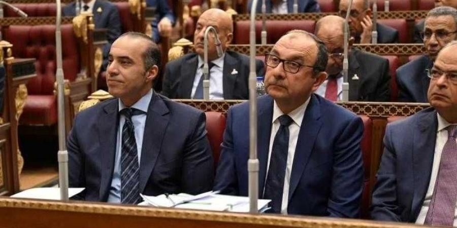 وزير الشئون النيابية يحضر جلسة مجلس الشيوخ بشأن مشروع قانون خطة التنمية الاقتصادية والاجتماعية للعام المالي 2025- 2026 - الكويت الاخباري