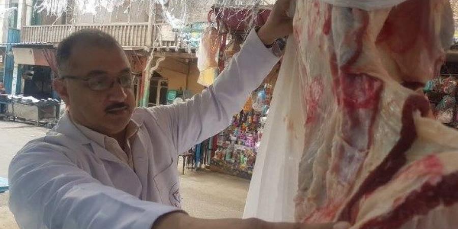ضبط طن أسماك مجمدة ولحوم مفرومة وبلدية مجهولة المصدر بالشرقية - الكويت الاخباري