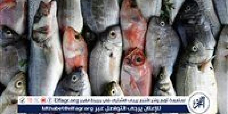 تعرف على أسعار الأسماك اليوم الأحد الموافق 18-5-2025 فى سوهاج - الكويت الاخباري
