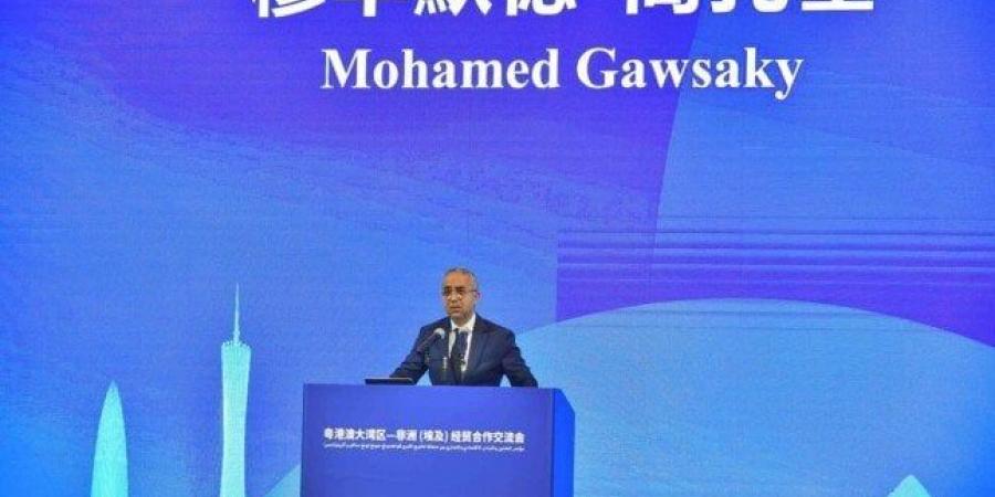 وزير الاستثمار: 17 مليار دولار حجم التبادل التجاري بين مصر والصين - الكويت الاخباري