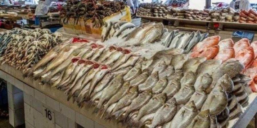 أسعار الأسماك والجمبري اليوم الثلاثاء 20 مايو 2025 - الكويت الاخباري