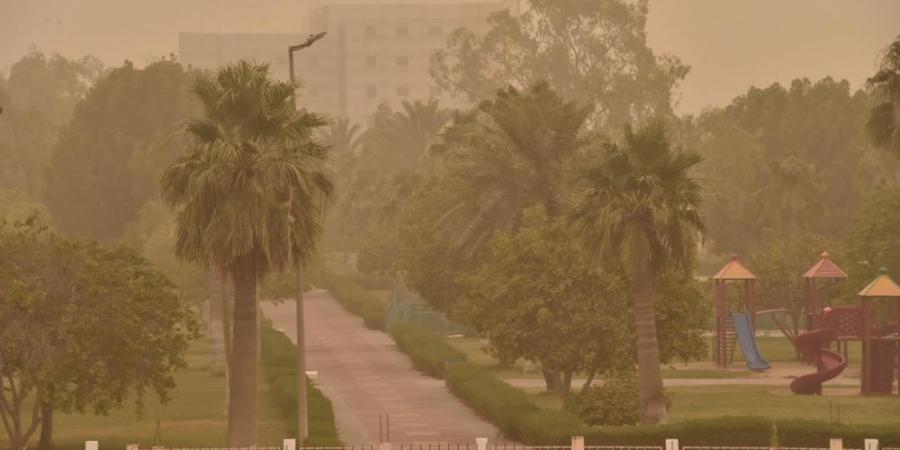 حتى 10 صباحًا.. عوالق ترابية على أجزاء من مكة المكرمة - الكويت الاخباري
