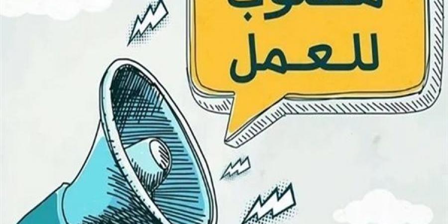 فرص برواتب مجزية لخريجي التعليم الفني بالإسكندرية - الكويت الاخباري