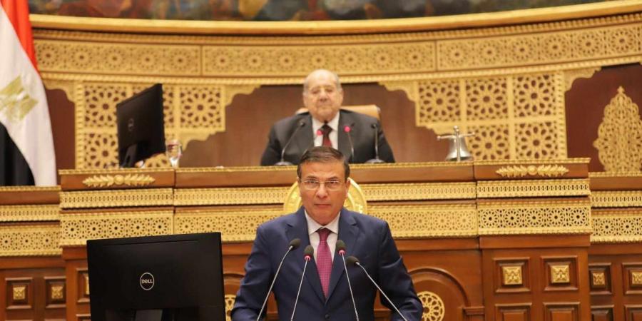 علاء فاروق: معالجة مياه الصرف الزراعي تحولت إلى ركيزة لري الدلتا الجديدة - الكويت الاخباري