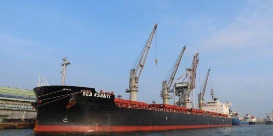 بعد تحسن الطقس: إعادة فتح ميناء الغردقة البحري وعودة الحركة الملاحية بالبحر الأحمر - الكويت الاخباري
