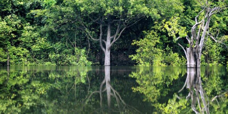 التنوع البيولوجي بين مخاطر التغير المناخي والأنشطة البشرية - الكويت الاخباري