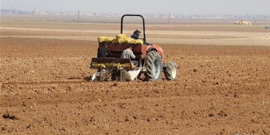 الحقول تموت عطشًا.. خطر الجفاف يتصاعد ويهدد مستقبل الزراعة في سوريا - الكويت الاخباري