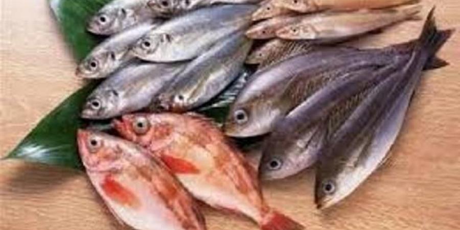 أسعار الأسماك اليوم الجمعة 23 مايو 2025  - الكويت الاخباري