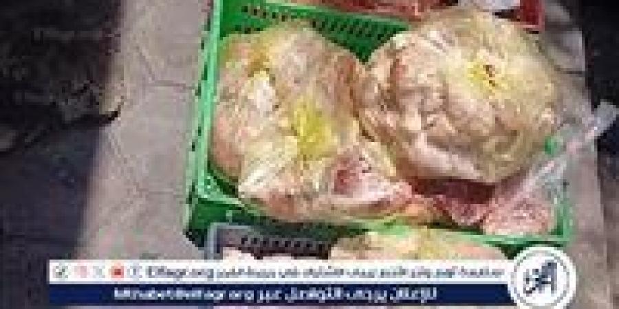 ضبط لحوم فاسدة وتحرير 196 محضرًا خلال حملات تموينية مكبرة بالمراكز والأحياء بأسيوط - الكويت الاخباري