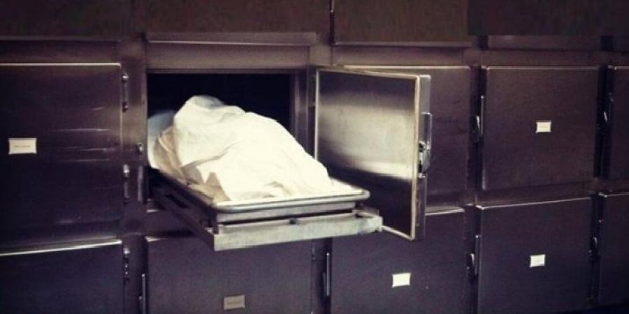 أمن القليوبية يكشف لغز العثور علي جثة شخص ملقاة برشاح قرية الحصافة - الكويت الاخباري