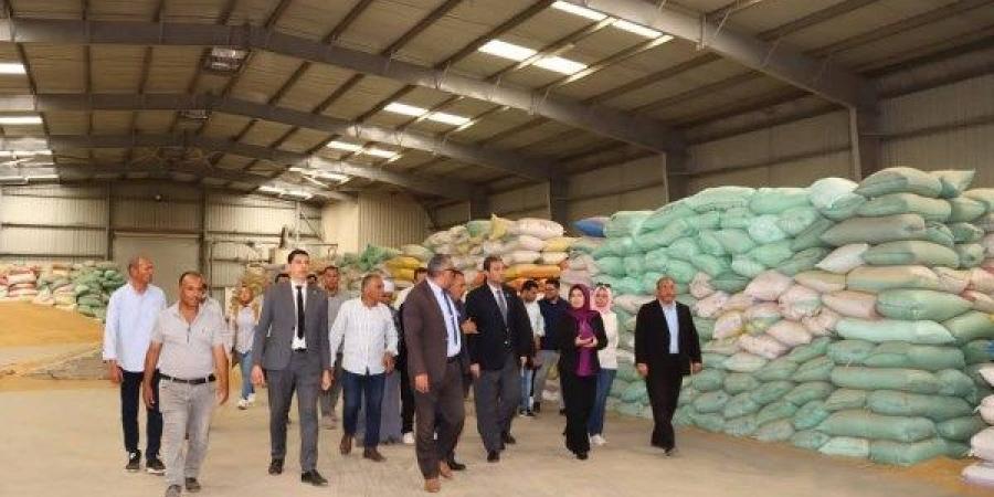 محافظ دمياط: الالتزام بضوابط استلام القمح والتخزين.. وتوريد 4100 طن - الكويت الاخباري