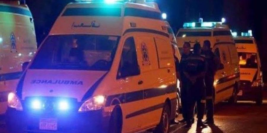 مصرع شخص وإصابة 2 في انقلاب تروسيكل على طريق الإسكندرية الزراعي بقويسنا - الكويت الاخباري
