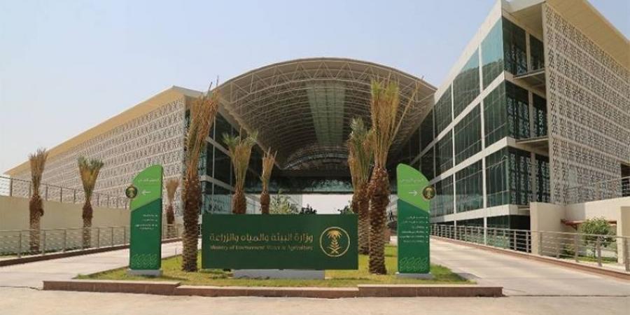 (64) فرصة استثمارية زراعية واعدة في (8) مناطق - الكويت الاخباري