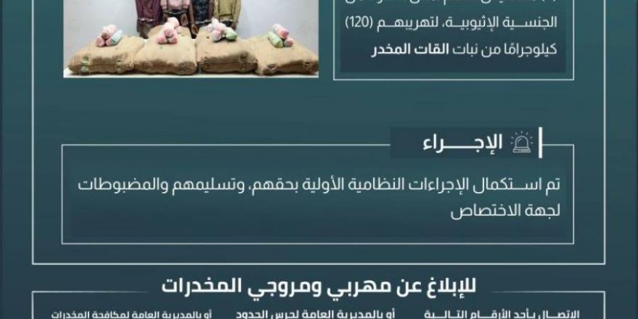 حرس الحدود بجازان يقبض على 4 مخالفين لنظام أمن الحدود لتهريبهم 120 كجم من نبات القات المخدر - الكويت الاخباري