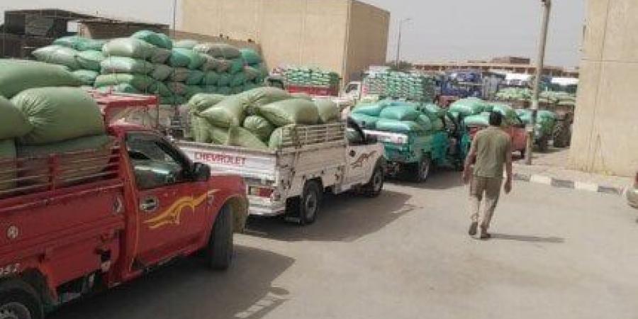 محافظ المنيا: تجاوزنا الــ 442 ألف طن قمح مُورَّد.. وتسهيلات غير مسبوقة للمزارعين - الكويت الاخباري