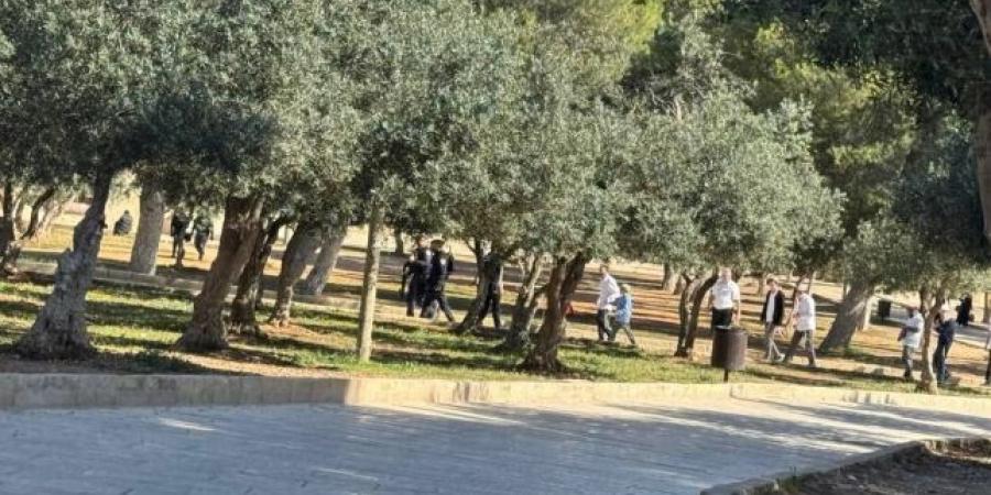 مئات المستوطنين يقتحمون المسجد الأقصى بحماية شرطة الاحتلال - الكويت الاخباري