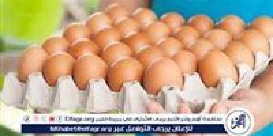 أسعار طبق البيض اليوم الاربعاء 28-5-2025 في قنا - الكويت الاخباري