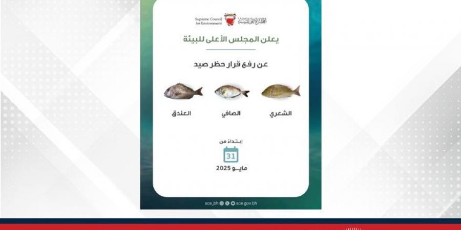 المجلس الأعلى للبيئة يعلن انتهاء فترة حظر صيد أسماك الشعري والصافي والعندق ‎ - الكويت الاخباري