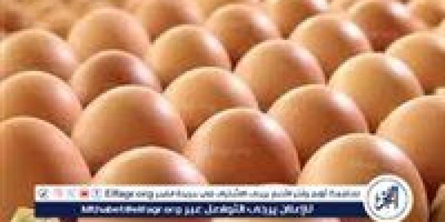 أسعار طبق البيض اليوم الخميس 29-5-2025 في قنا - الكويت الاخباري