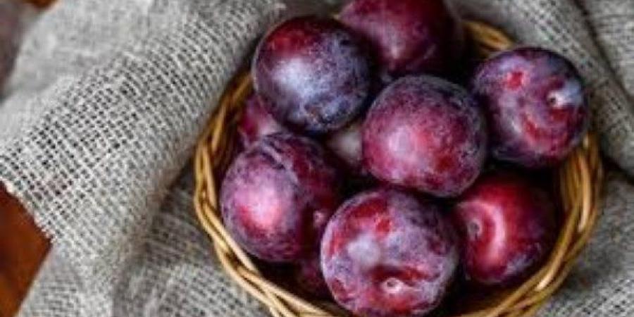 فوائد سحرية.. ماذا يحدث للجسم عند تناول البرقوق؟ - الكويت الاخباري