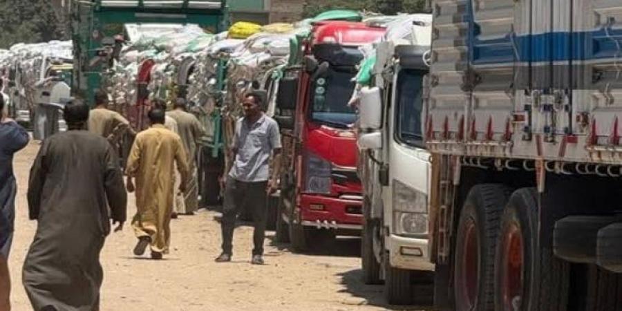 توريد 100 ألف طن قمح بالمنوفية - الكويت الاخباري