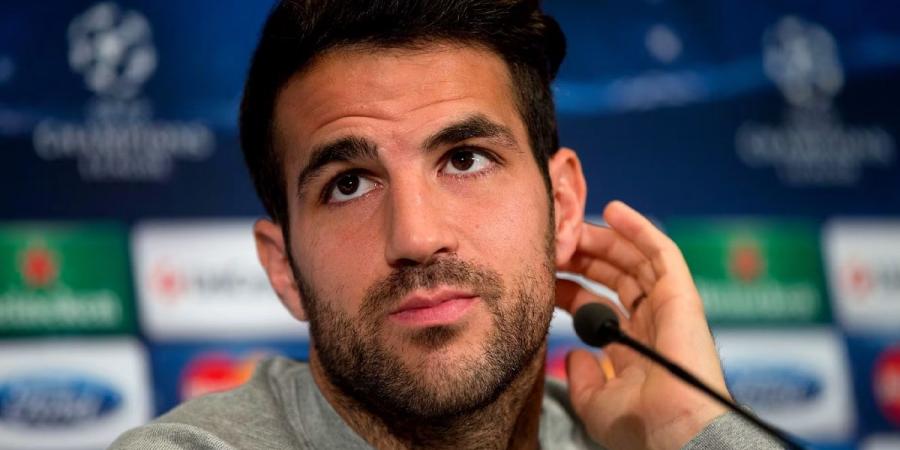 هل يعود فابريغاس إلى برشلونة؟ - الكويت الاخباري