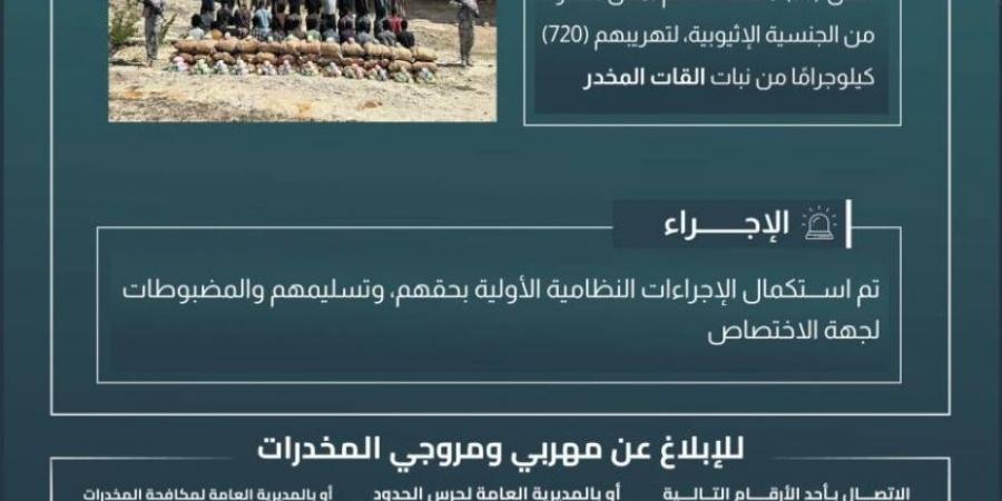 القبض على (36) مخالفًا لتهريبهم (720) كجم من القات بـالربوعة - الكويت الاخباري