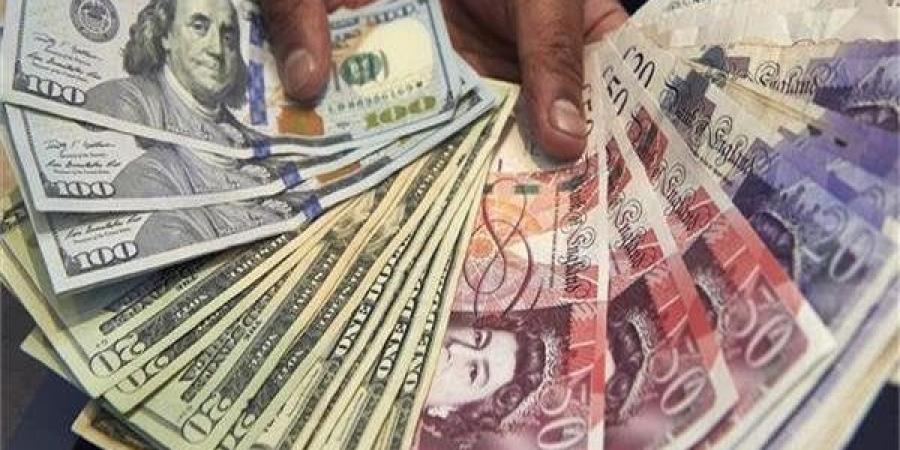 الداخلية: ضبط قضايا اتجار في العملات الأجنبية بـ 11 مليون جنيه - الكويت الاخباري